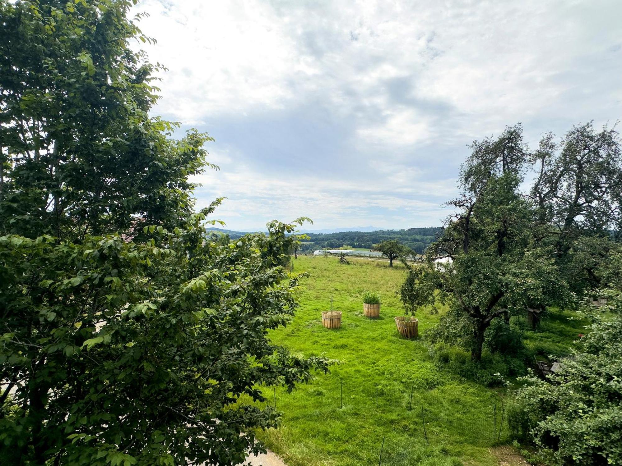 Hof Sinnenberg Deggenhausertal Zewnętrze zdjęcie
