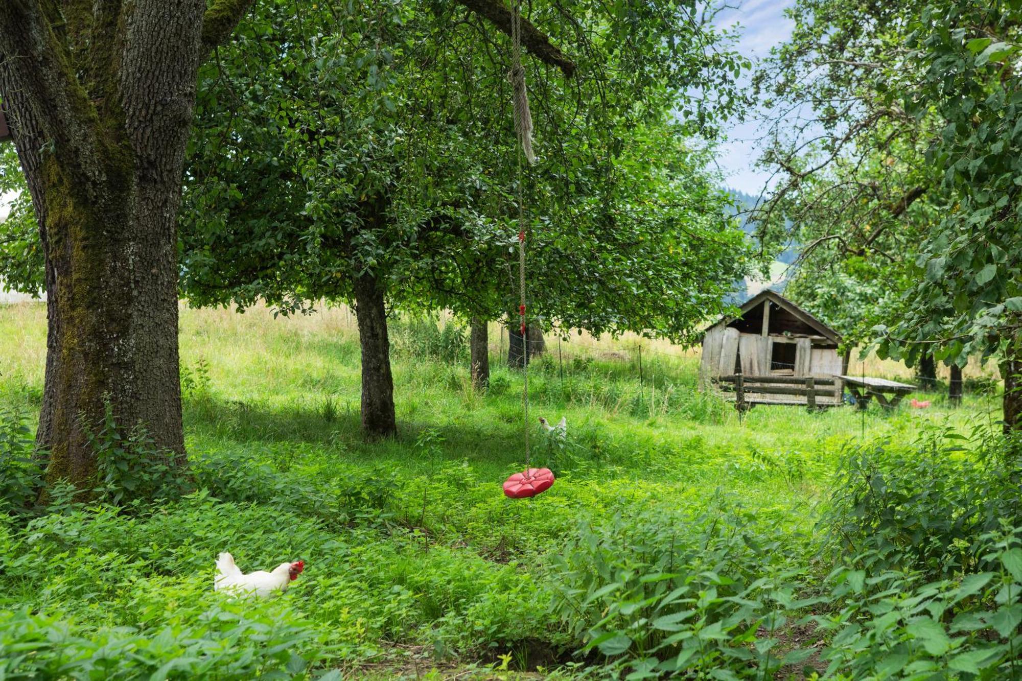 Hof Sinnenberg Deggenhausertal Zewnętrze zdjęcie